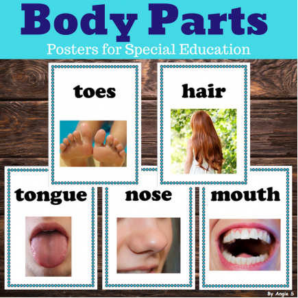 Body Parts Posters for Classroom Decor and Speech Therapy
